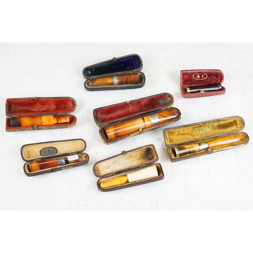 217 - A collection of seven amber cheroot holders to include some with silver mounts, all contained within... 