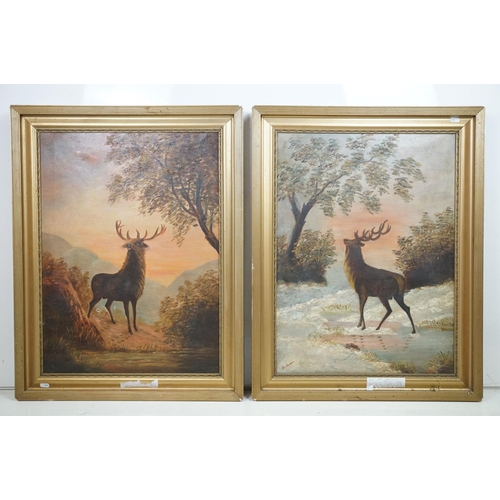 508 - M Draper, stag at sunset against a landscape, a pair, oil on canvas, each signed lower left, 67 x 49... 