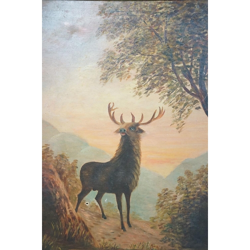 508 - M Draper, stag at sunset against a landscape, a pair, oil on canvas, each signed lower left, 67 x 49... 