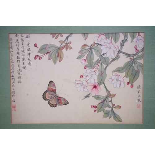 518 - Chinese School, a set of four pen, ink and watercolour paintings on silk, variously depicting flower... 