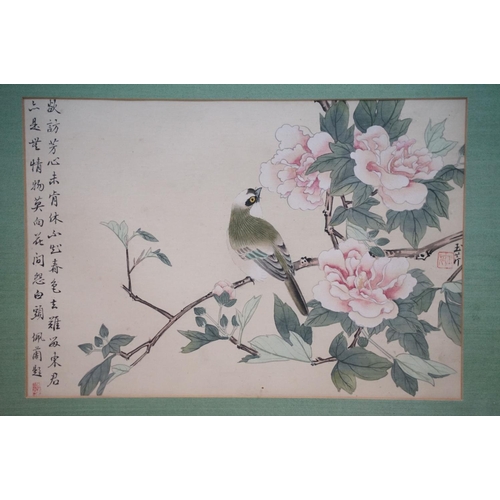 518 - Chinese School, a set of four pen, ink and watercolour paintings on silk, variously depicting flower... 