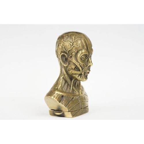 314 - Brass Cased Anatomical