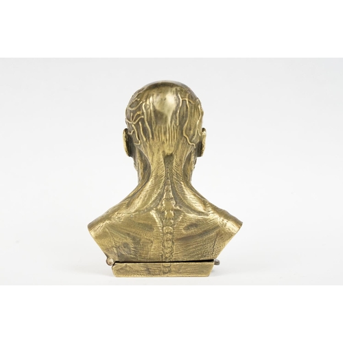 314 - Brass Cased Anatomical