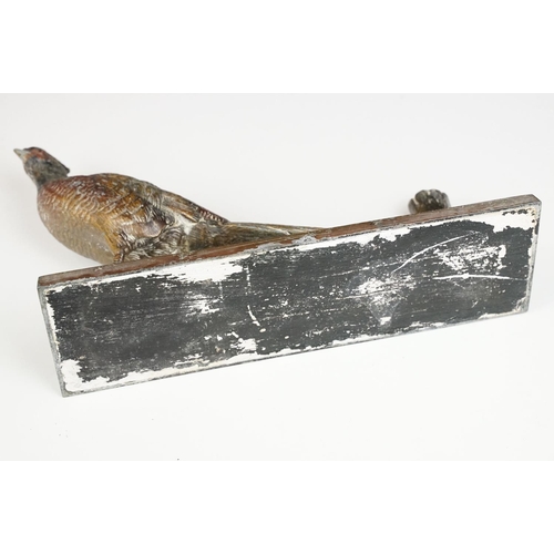 208 - Cold Painted Spelter Pheasant Match Striker, with striker. Approx 30.5cm wide