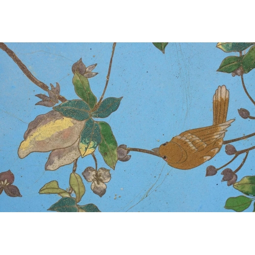 170 - Large 19th century Japanese Cloisonne Charger decorated with a bird and a strawberry plant on a blue... 