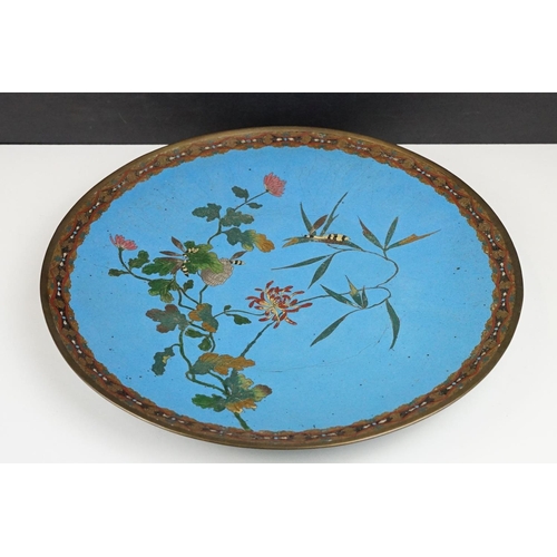 171 - Large 19th century Japanese Cloisonne Charger decorated with dragonflies and flowers on a blue groun... 