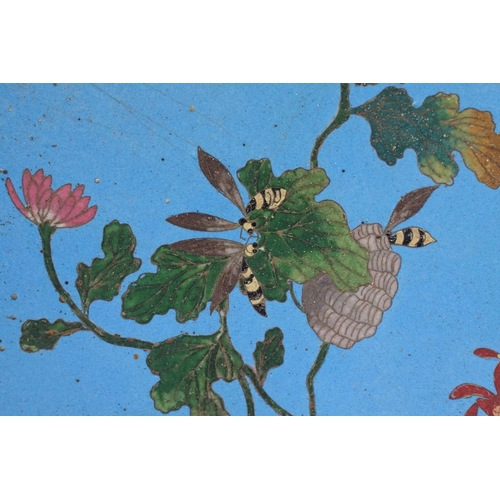 171 - Large 19th century Japanese Cloisonne Charger decorated with dragonflies and flowers on a blue groun... 