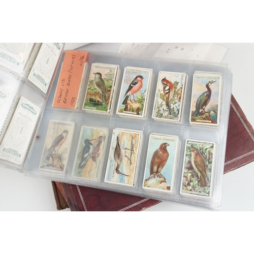 515 - A collection of cigarette cards within sleeves and albums to include Players, Wills and Ogdens examp... 