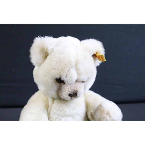 283 - Seven Steiff teddy bears to include 665981 Peace Bear ltd edn, 670527 Steiff 2000 Teddy 22 Blond ltd... 