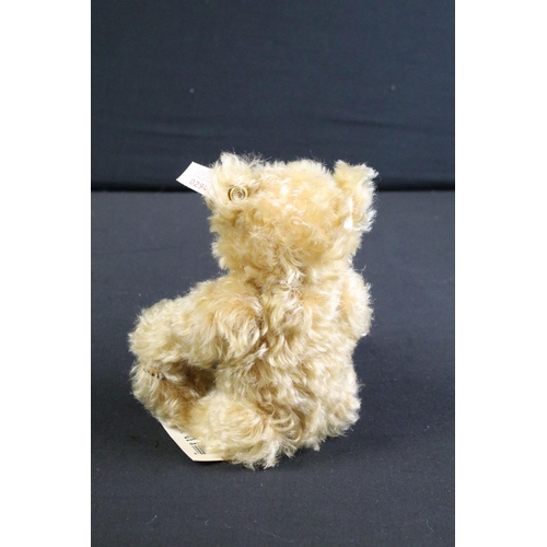 283 - Seven Steiff teddy bears to include 665981 Peace Bear ltd edn, 670527 Steiff 2000 Teddy 22 Blond ltd... 