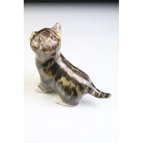 10 - Three Winstanley Pottery cat figures with glass eyes, to include a recumbent tabby cat (size 2), a t... 