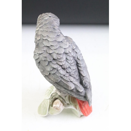 5 - 20th Century Goebel porcelain model of an African Grey Parrot perched on a leafy branch, model no. C... 