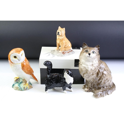 79 - Ceramic animals to include Royal Doulton Chow Chow (boxed), Beswick cat, Beswick owl and a Royal Dou... 