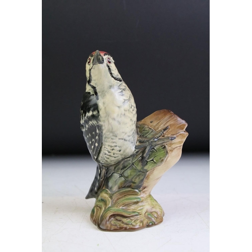 81 - Beswick lesser Spotted Woodpecker, ceramic Jay marked A M Cooper, bisque robin figuirne and small bi... 