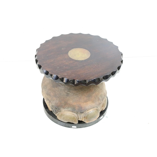 594 - Circular Coffee Table formed from a Taxidermy Elephant's foot, 38cm high x 54cm wide