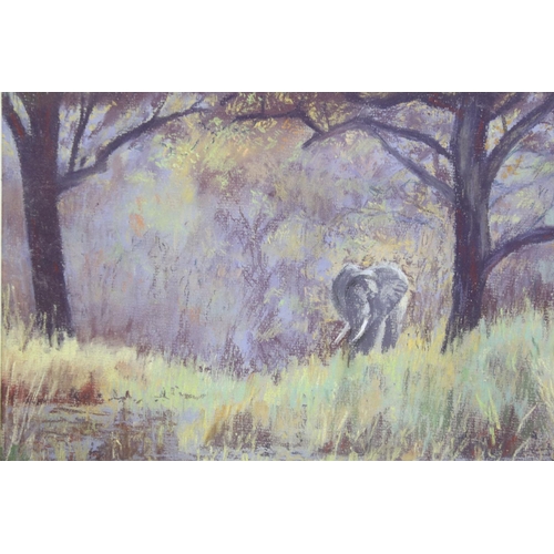 503 - Roderick Grant, Pastel Wildlife Study with Elephant titled on verso ' Chance encounter Zambia ', 28c... 