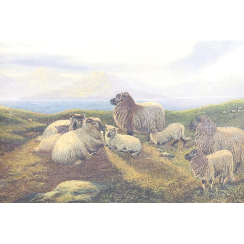 512 - Scottish School, study of sheep with mountains behind, oil on board, signed indistinctly lower left,... 