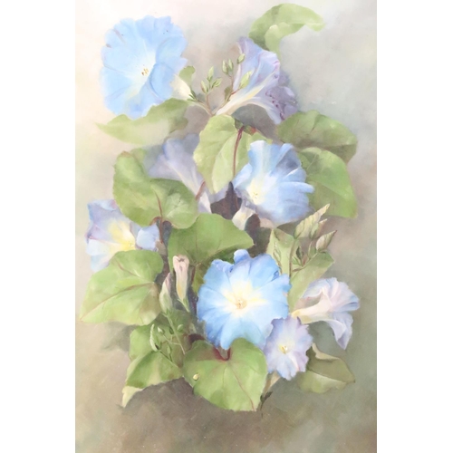 525 - English School, still life of Morning Glory flowers, oil on board, signed K Jones lower right, 44 x ... 