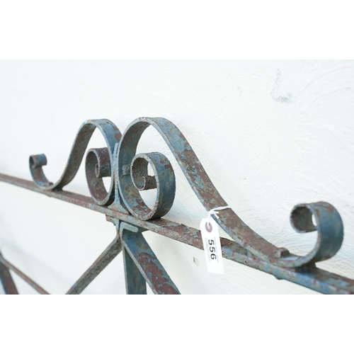 556 - Wrought iron gate with scroll details, measures approx 270cm