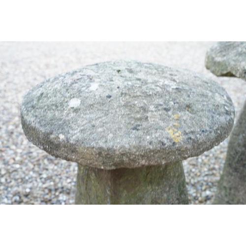 565 - Stone staddle stone, approx 80cm high