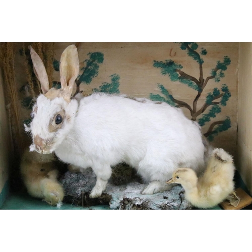 136 - Taxidermy - A taxidermy rabbit and two ducklings in a naturalistic style setting, housed within a wo... 