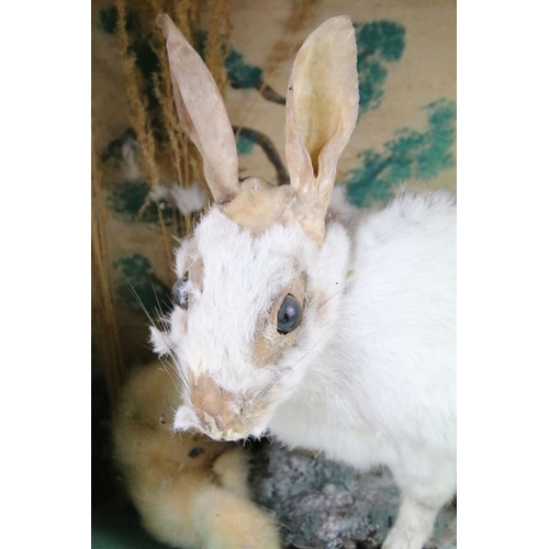 136 - Taxidermy - A taxidermy rabbit and two ducklings in a naturalistic style setting, housed within a wo... 