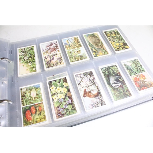 411 - A large collection of cigarette cards contained within four albums to include Players, Black Cat and... 