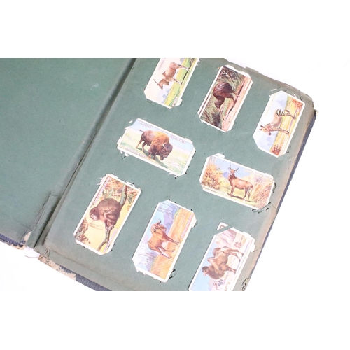 426 - A small collection of cigarette and confectionery cards within albums to include Players & Will's ex... 