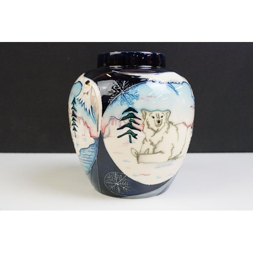 10 - Moorcroft Arctic Tundra pattern ginger jar having tube lined decoration featuring polar bears in an ... 