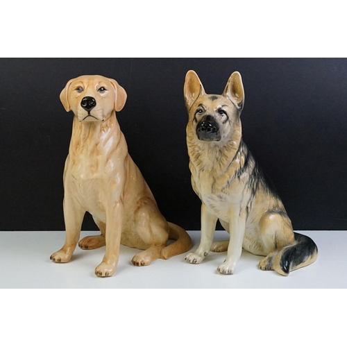 11 - Two large ceramic dogs to include a Beswick German Shepherd and an unmarked Yellow Labrador (a/f). M... 