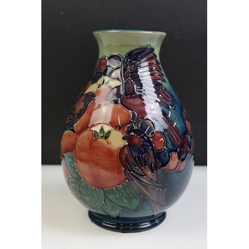 5 - Moorcroft Finches and Fruit pattern plate together with a baluster vase, both with tube lined detail... 