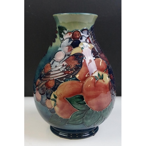 5 - Moorcroft Finches and Fruit pattern plate together with a baluster vase, both with tube lined detail... 