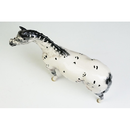 51 - Two Beswick horses to include a white footed shire horse together with a black and white appaloosa s... 