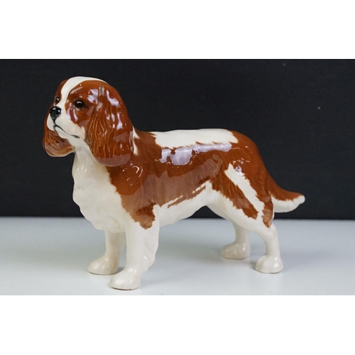 58 - Group of Beswick ceramic dog figurines to include three poodles, a corgi, cavalier king charles span... 