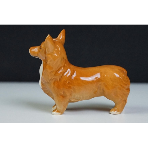 58 - Group of Beswick ceramic dog figurines to include three poodles, a corgi, cavalier king charles span... 