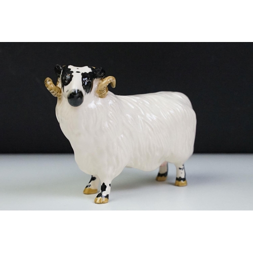 74 - Seven Beswick porcelain animal figures to include a Hereford 'Champion of Champions' Bull, 2 x Pigs ... 