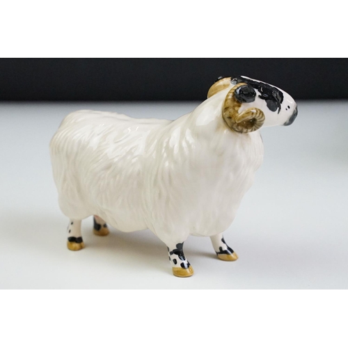 74 - Seven Beswick porcelain animal figures to include a Hereford 'Champion of Champions' Bull, 2 x Pigs ... 