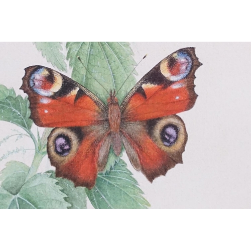 440 - David J Buckle, 20th century Pair of Watercolour Studies of Butterflies and Fauna, signed, both 24cm... 