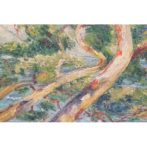 445 - Continental School, study of trees by water, impasto oil on panel, indistinctly signed lower right, ... 