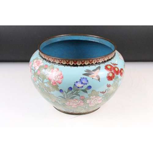 161 - Cloisonné Jardiniere decorated with a bird and flowers on a blue ground, 30cm diameter