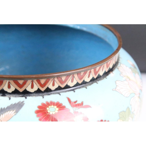 161 - Cloisonné Jardiniere decorated with a bird and flowers on a blue ground, 30cm diameter