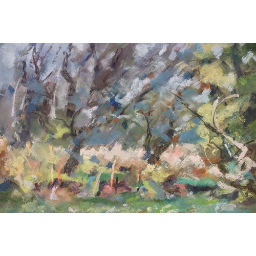 437 - Thierry Citron, abstract study of trees, a pair, pastel, each 31 x 39cm, each framed and glazed