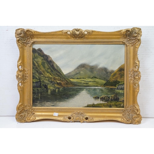 453 - Oil on board of a valley lake scene, artist monogram to lower right, approx 49cm x 34cm, gilt framed