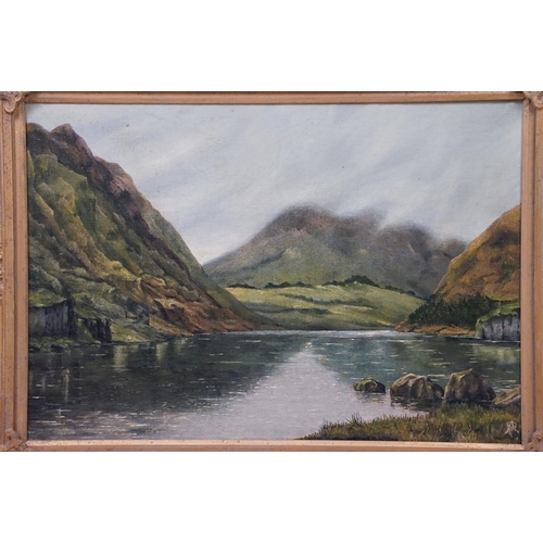 453 - Oil on board of a valley lake scene, artist monogram to lower right, approx 49cm x 34cm, gilt framed