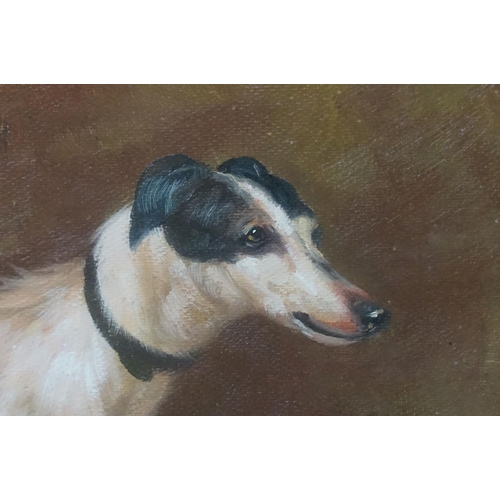 470 - Oak Framed Oil Painting Study of a Greyhound Dog, 30cm x 37cm