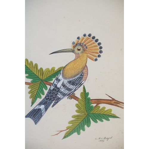 511 - C.B.S Dangol, set of Three Watercolour Studies of Exotic Birds in their habitat