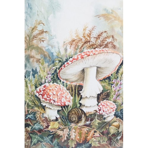 519 - Elizabeth De Lisle, Framed Watercolour of a Nature Scene with Snail amongst Ferns and Mushrooms, 24c... 