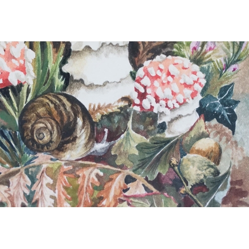 519 - Elizabeth De Lisle, Framed Watercolour of a Nature Scene with Snail amongst Ferns and Mushrooms, 24c... 