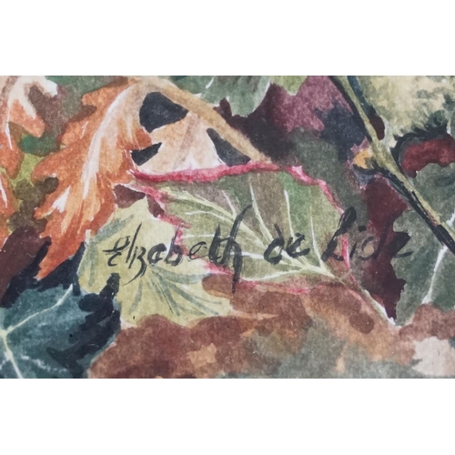 519 - Elizabeth De Lisle, Framed Watercolour of a Nature Scene with Snail amongst Ferns and Mushrooms, 24c... 