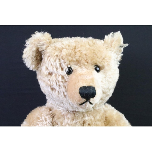 355 - Steiff 406058 1909 Replica teddy bear, wavy blonde mohair, ltd edn 3662 of 5000, with chest tag, but... 